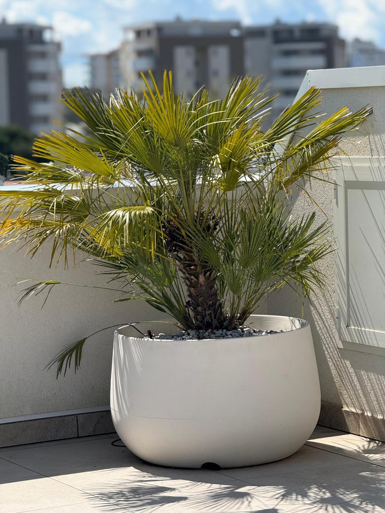 Attico Sole Apartment *